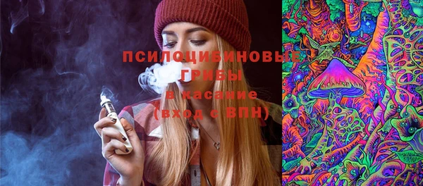 трава Бородино
