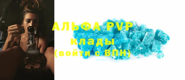 трава Бородино