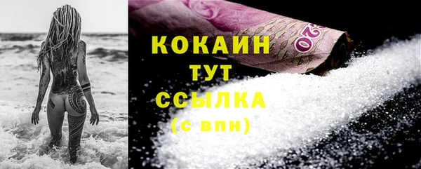 трава Бородино