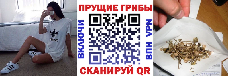 купить наркоту Можайск Псилоцибиновые грибы Cubensis